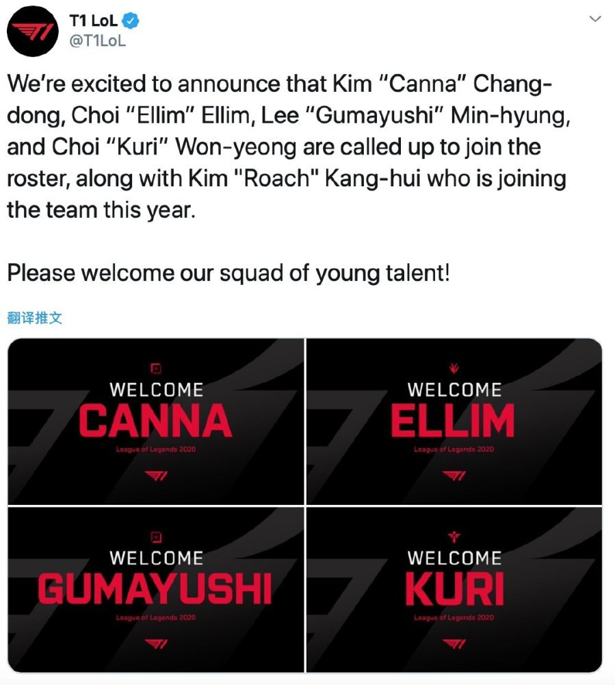 正是这种智 正是这种智